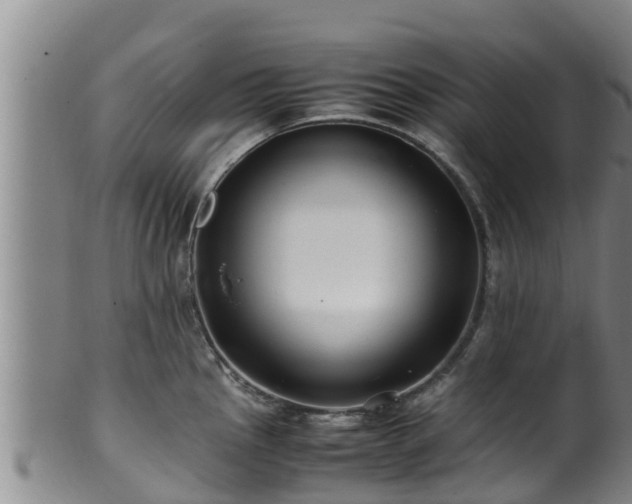 X0000100881145200806271131