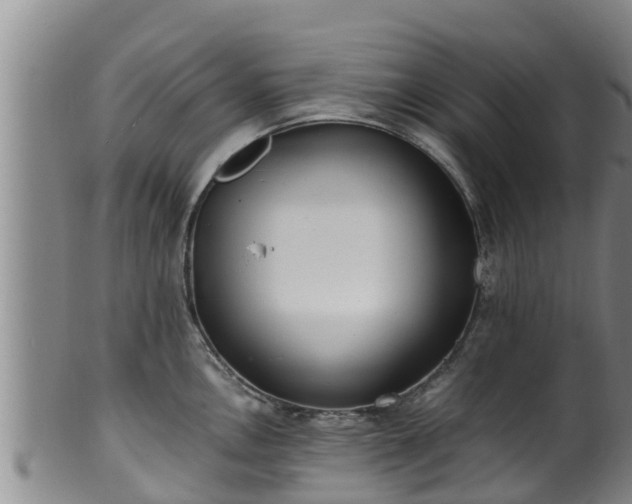 X0000100881146200806271131