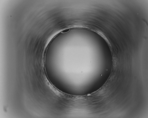 X0000100881148200806271131