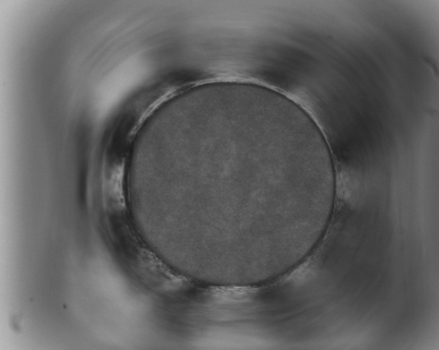 X0000100881150200806271131