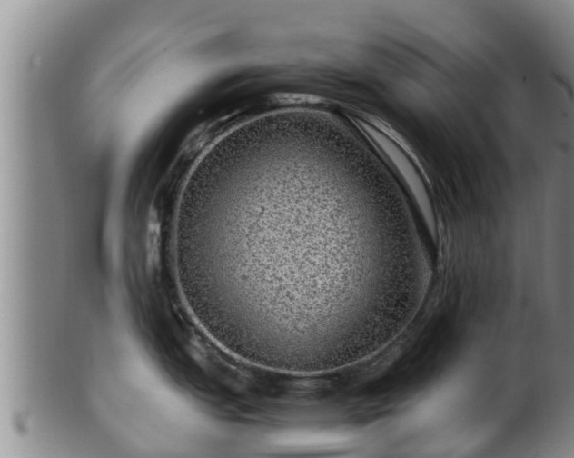 X0000100881151200806271131