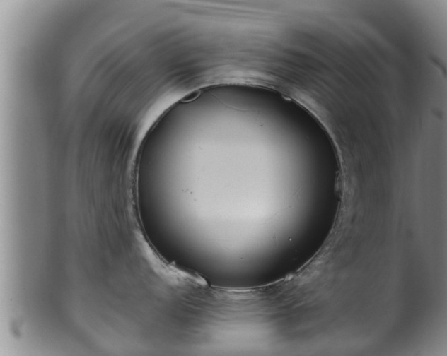 X0000100881152200806271131