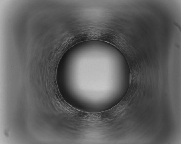 X0000100881153200806271130