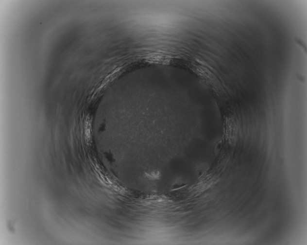 X0000100881154200806271130