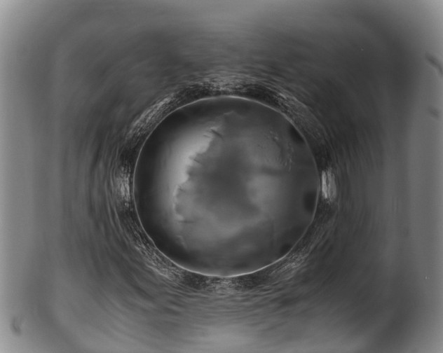 X0000100881155200806271130