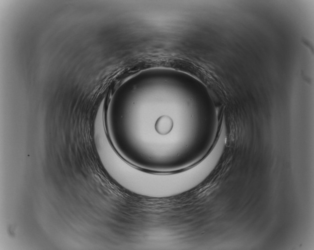 X0000100881156200806271130