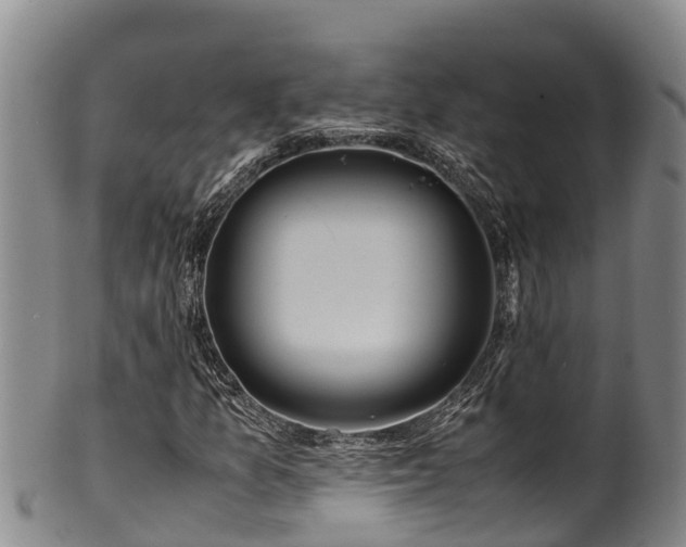 X0000100881157200806271130