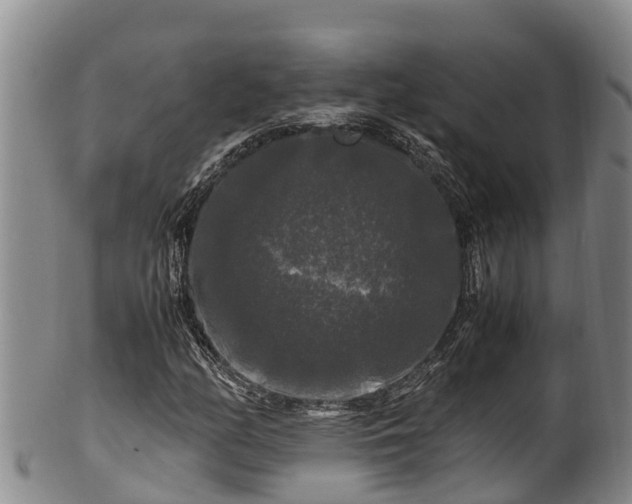 X0000100881158200806271130