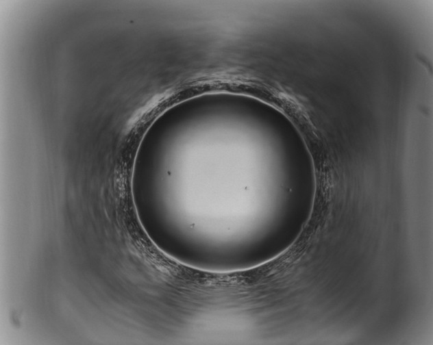 X0000100881159200806271130