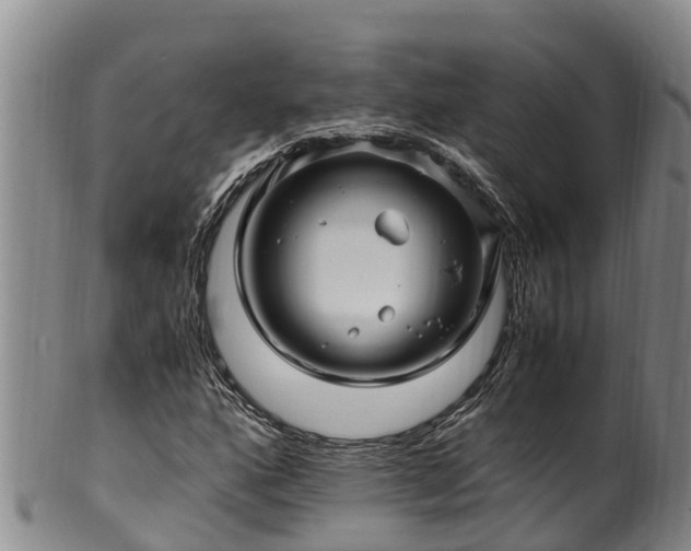 X0000100881160200806271130