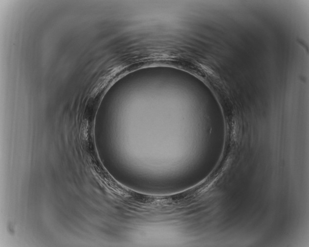 X0000100881161200806271130