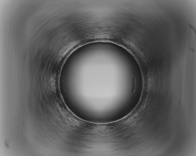 X0000100881162200806271130