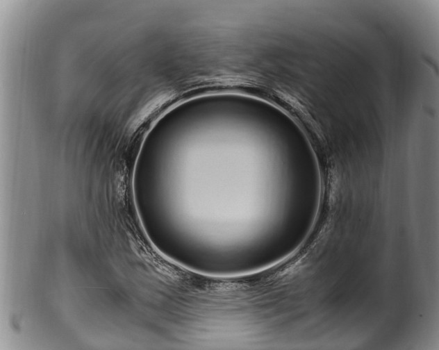 X0000100881163200806271130