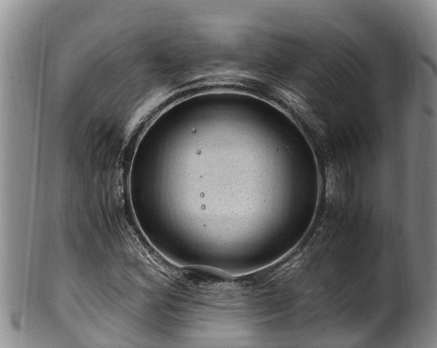 X0000100881164200806271130