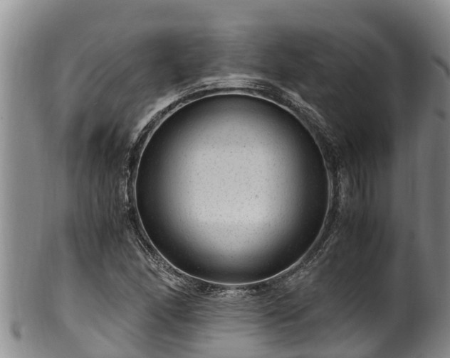 X0000100881166200806271130