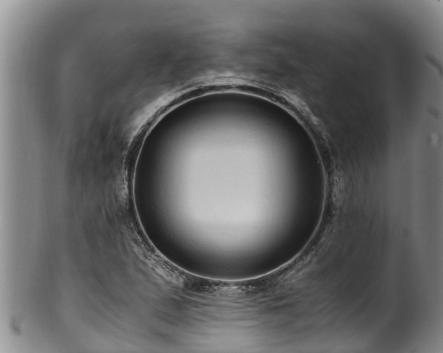 X0000100881167200806271130