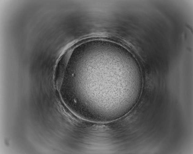 X0000100881168200806271130