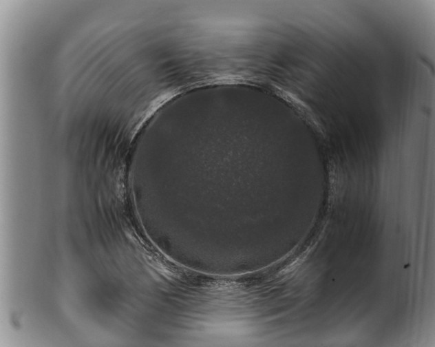 X0000100881170200806271130