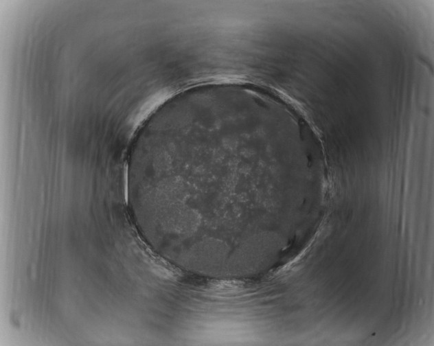 X0000100881171200806271130