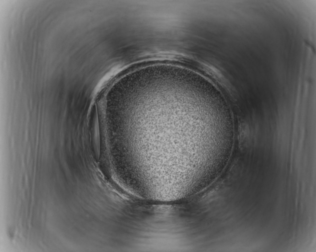 X0000100881172200806271130