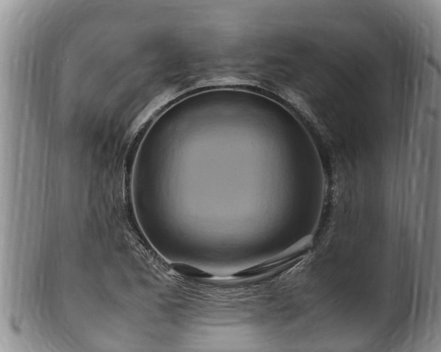 X0000100881173200806271130