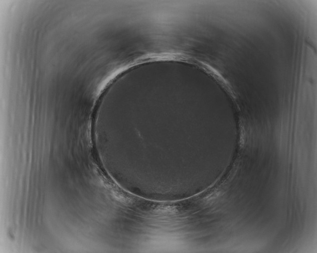 X0000100881174200806271130