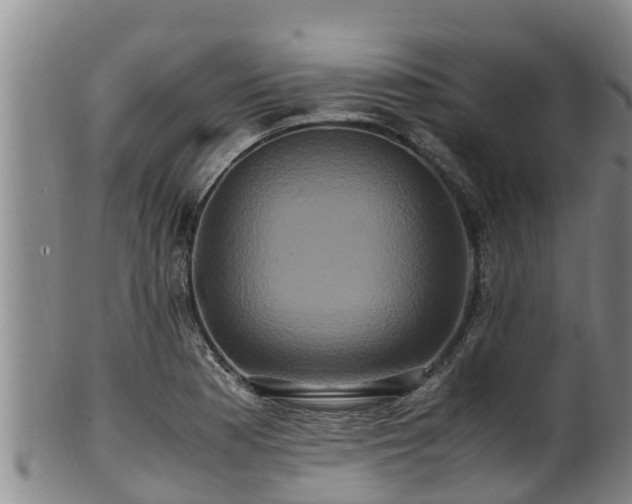 X0000100881177200806271130