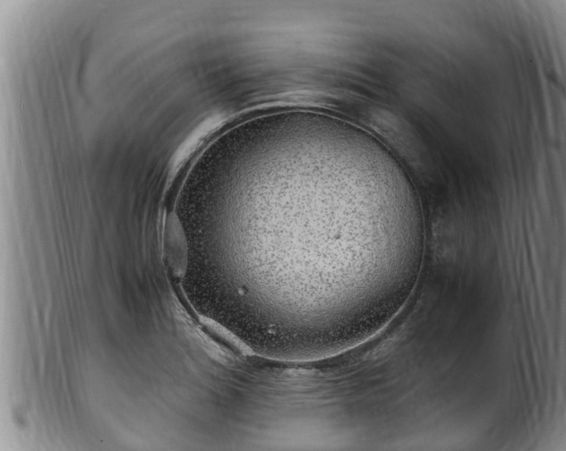 X0000100881180200806271130