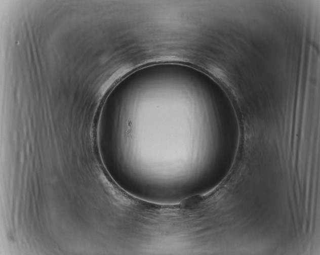 X0000100881181200806271130