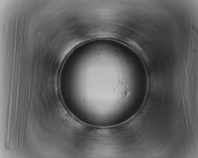 X0000100881182200806271130