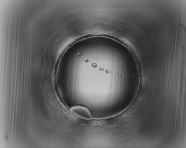 X0000100881183200806271130