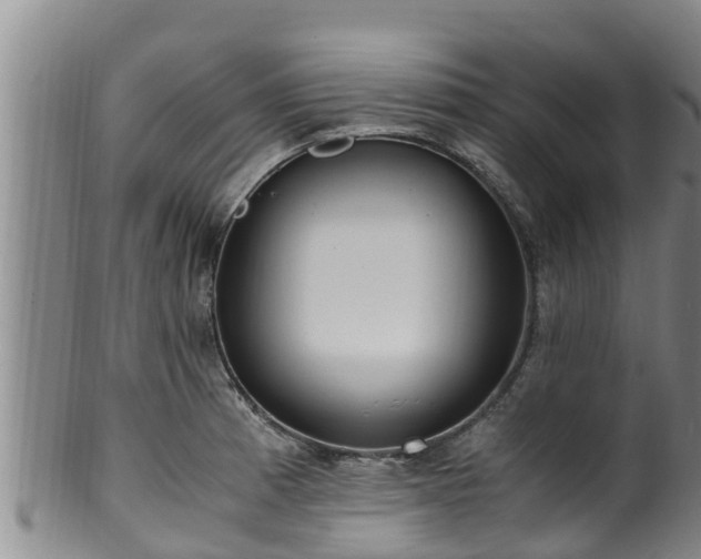 X0000100881185200806271130