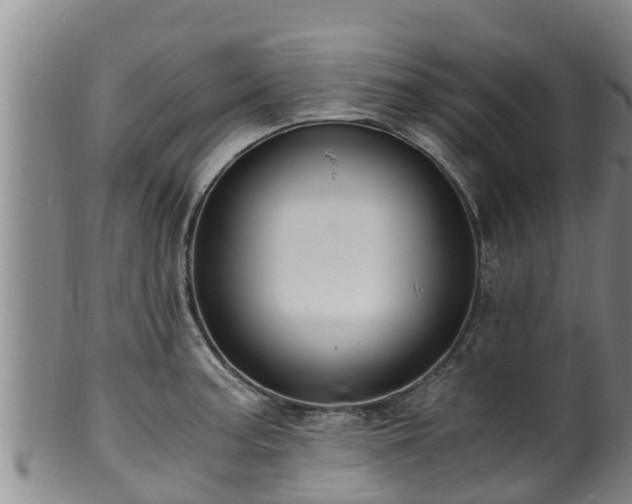 X0000100881187200806271130