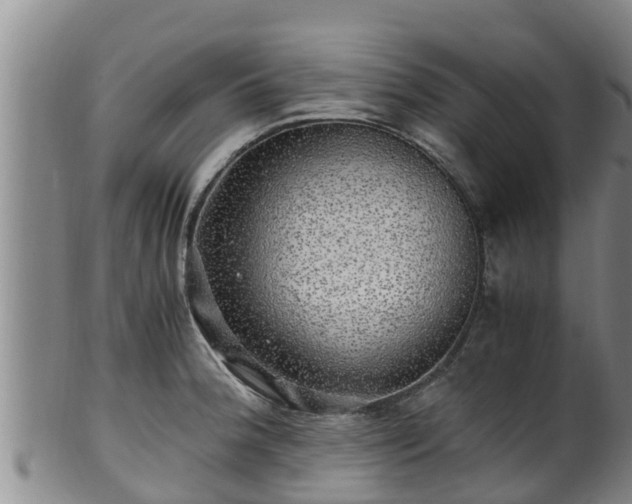 X0000100881188200806271130