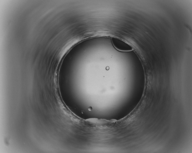 X0000100881190200806271130