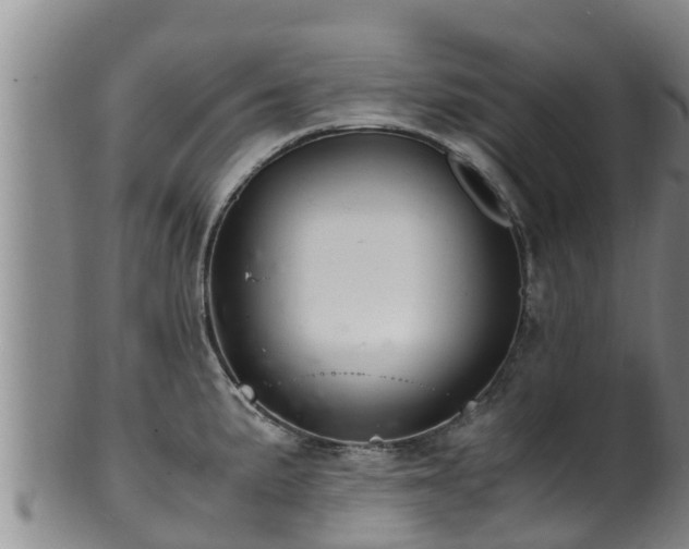 X0000100881191200806271130