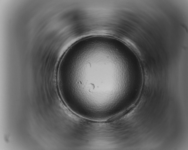 X0000100881192200806271130