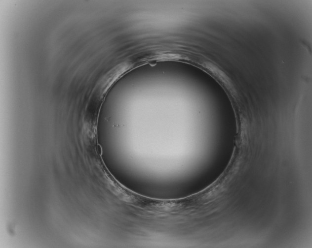 X0000100881193200806271129