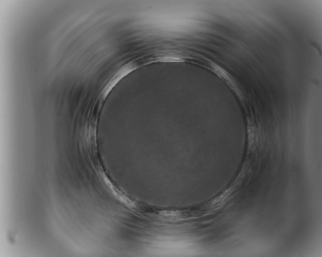 X0000100881194200806271129