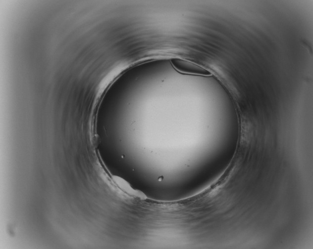 X0000100881196200806271129