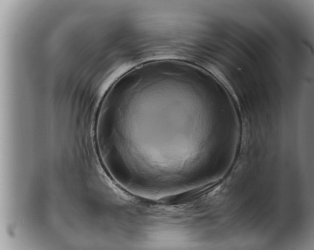 X0000100881197200806271129