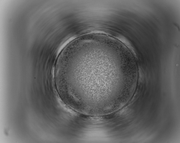 X0000100881198200806271129