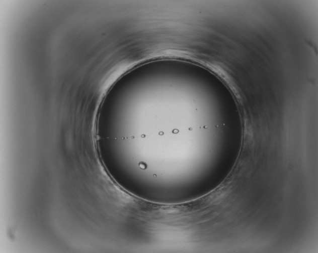 X0000100881199200806271129