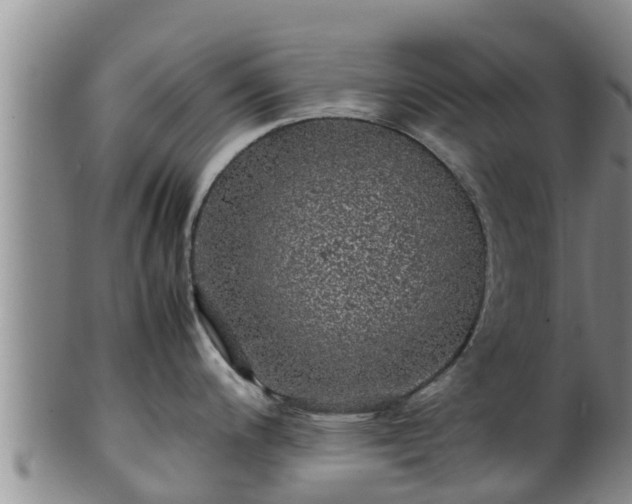 X0000100881200200806271129