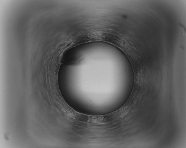 X0000100881201200806271129