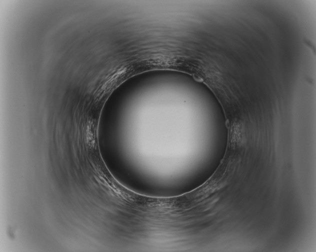 X0000100881202200806271129