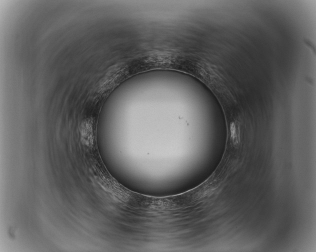 X0000100881203200806271129