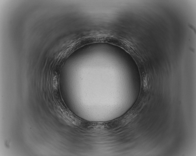 X0000100881204200806271129