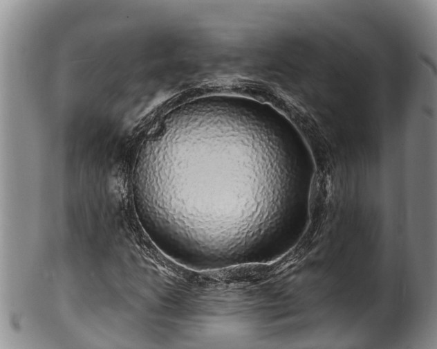 X0000100881206200806271129