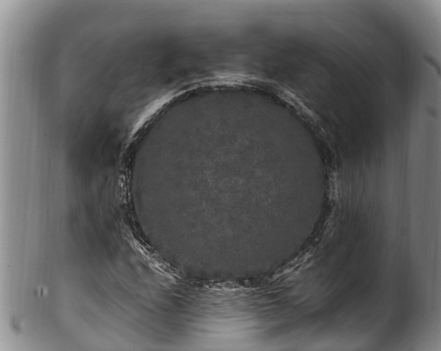 X0000100881208200806271129